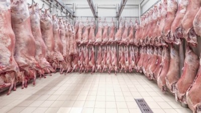 Belgium is stepping up its efforts to ban halal and kosher slaughter methods