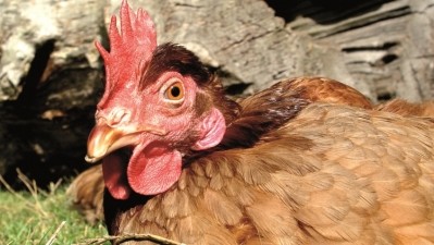 The legislative proposal had been protested by a number of poultry meat industry associations