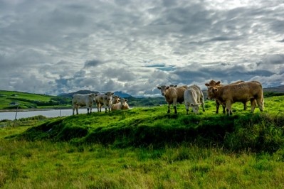 Irish farmers challenge meat industry over prices