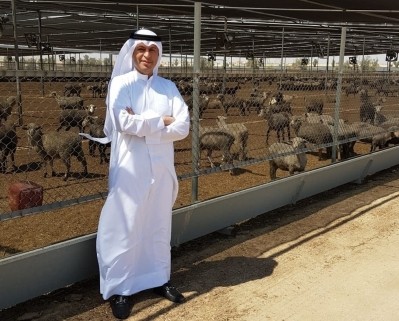 Al Mawashi has expressed concern about Australian sheep imports