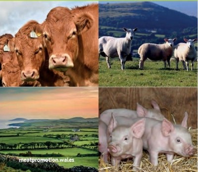New website for Meat Promotion Wales