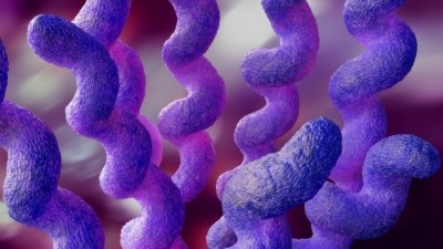 Campylobacter cases in Denmark on the rise