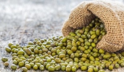 Mung bean has become increasingly popular with plant-based protein manufacturers. ©iStock