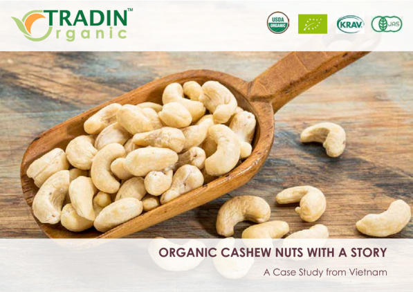 Organic Cashew Nuts With A Story