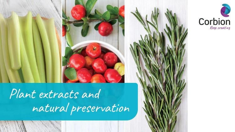 Plant extracts and natural preservation