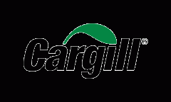 Stevia and mint flavours a winning combination, says Cargill consultant