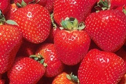 Cassava starch coatings can increase strawberry shelf life 33% - study