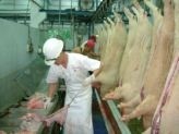 EU meat industry welcomes new pig inspection rules