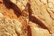 CASH recognises bread industry efforts on salt reduction