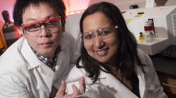 Photo: Jeff Fitlow. Box held by Rice Uni graduate student Jinghui Wang (L) with Sibani Lisa Biswal, contains a tiny array of microcantilevers functionalized to detect Salmonella pathogens