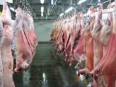 Finnish meat firm streamlines production
