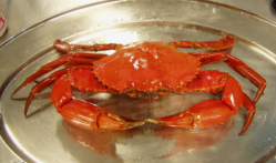 FDA allows ionizing radiation to control pathogens in crustaceans
