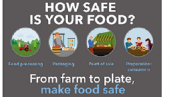 Examples of how countries marked World Health Day on the theme of food safety