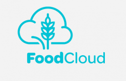 'It’s great to have structures in place to support but we also need to have the infrastructure to support and increase supply to the charity sector,' said Iseult Ward, FoodCloud’s CEO. © iStock 