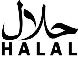 Malaysia to use UAE as gateway to halal markets in Africa, Europe