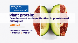 Plant protein: Development and diversification in plant-based analogues