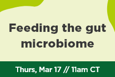 Feeding the gut microbiome