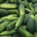 May 2011 - Death toll rises in cucumber E.coli outbreak