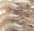 Shrimp is the product at the centre of the recall