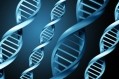 DNA diets: 'They're just not ready for prime time', warn experts
