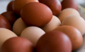 Spar recalls eggs after Salmonella findings