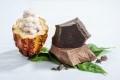 Barry Callebaut develops 100% WholeFruit Chocolate