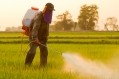 France doubles down on glyphosate ban
