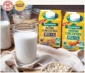 Plant-based milk concentrate