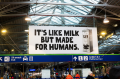 Oatly invests in Ireland