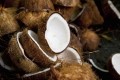 The industry-led Sustainable Partnership Partnership is on a mission to wipe out unsustainable practices in coconut production. GettyImages/Judith Haeusler