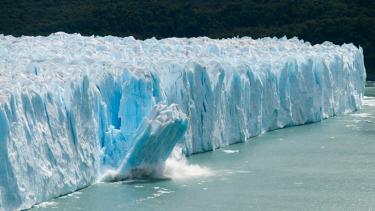 Environmental activists claim greenhouse gas emissions are heating up our plant, causing ice bergs to melt