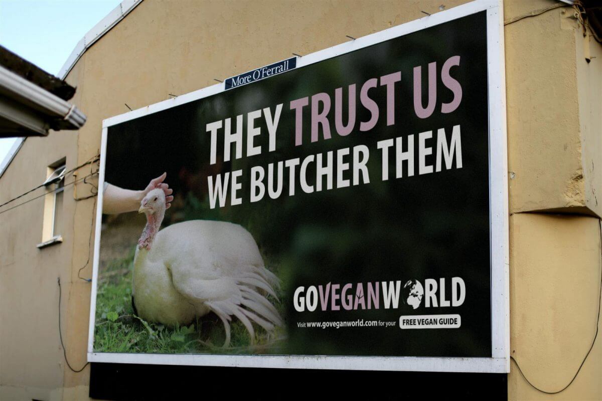 Farmers demand Go Vegan World 'come clean' on campaign funding