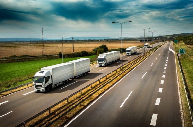 German logistics start-up works to clear up B2B food supply chains