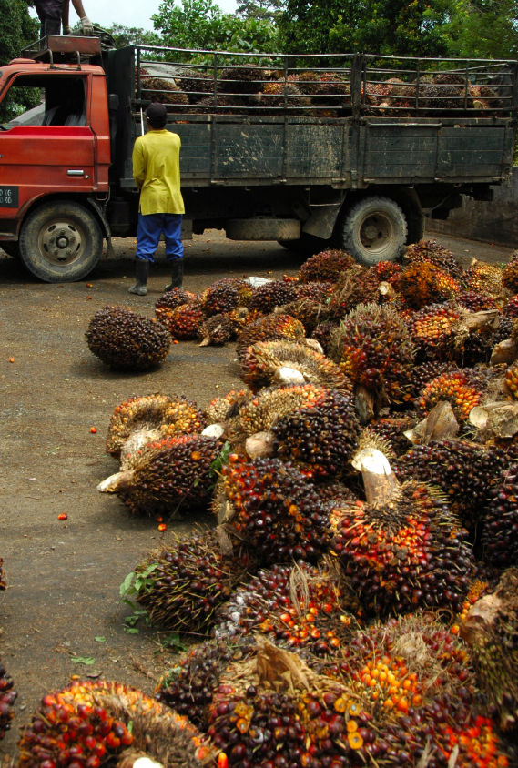 IOI, Kerry support palm oil smallholders