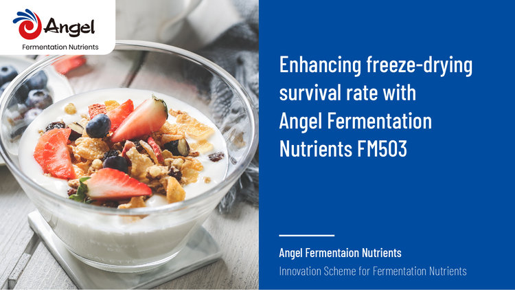 Enhancing freeze-drying survival rate